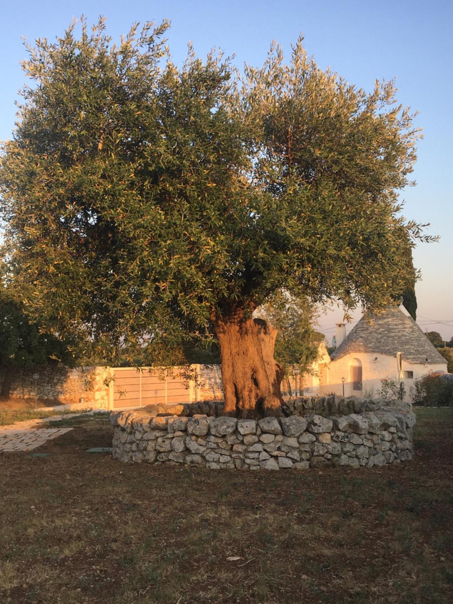 Trulli Le 2 Nicchie Villa Locorotondo Exterior foto